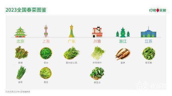 藠头、蕨菜、面条菜、玉兰菜春菜大数据：南京人喜欢菊花脑小众野菜迎来春天杏彩国际体